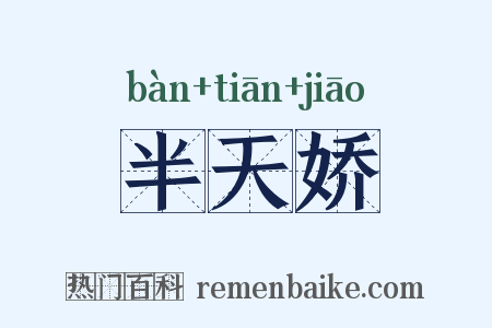 半天娇是什么意思的图片